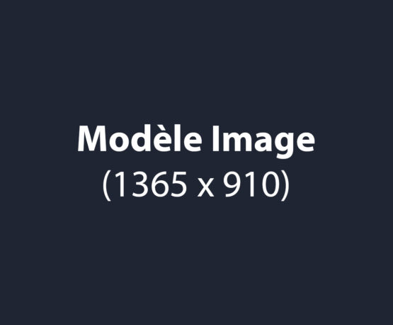 modele-image-articles