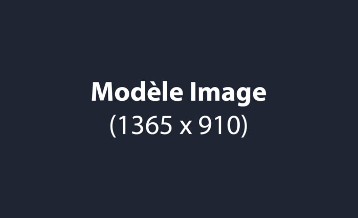 modele-image-articles